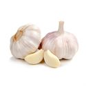 Picture of Garlic 