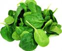 Picture of Spinach