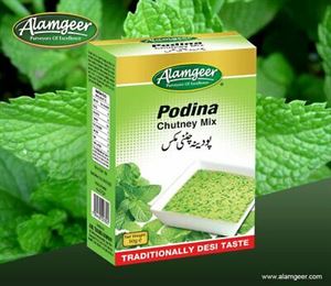 Picture of Alamgeer Podina Chutney Mix 50G